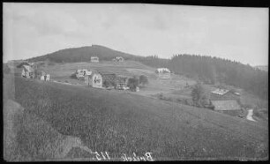 Bärenfels. Villa Missnia, Pension Burger