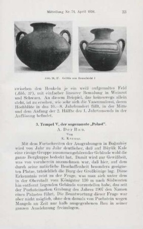 3. Tempel V. der sogenannte "Palast"