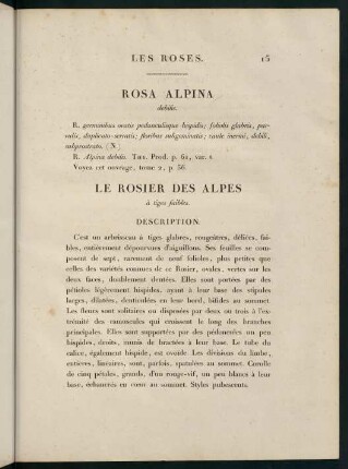 15-16, Rosa Alpina (debilis.) Le Rosier des Alpes (à tiges faibles.)
