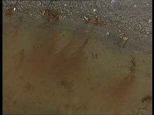 Crystallization of Evaporites in Saltworks