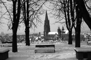 Freiburg: Blick vom Schlossberg (Kanonenplatz) aufs Münster