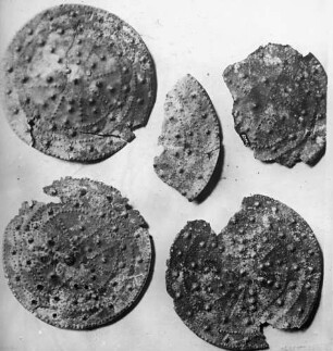 bronzene Schmuckscheiben