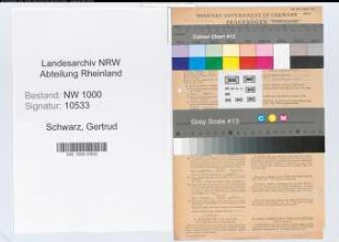 Entnazifizierung Gertrud Schwarz, geb. 19.03.1920 (Stenotyp.)