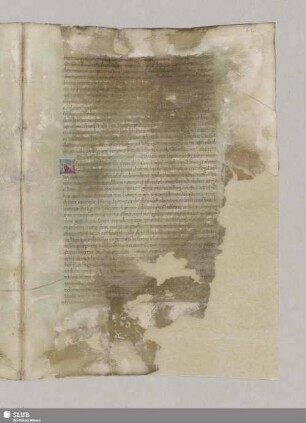 De religione antiquorum ducum. Cap. II.