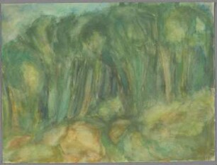 Weg im Wald