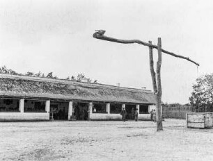 Pußta