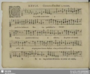 XXVIII. Corporalis exercitatio