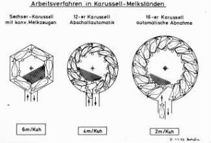 Arbeitsverfahren in Karussell-Melkständen