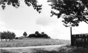 Obercunnersdorf. Ehem. Bergmühle, Blick zum Windmühlenberg