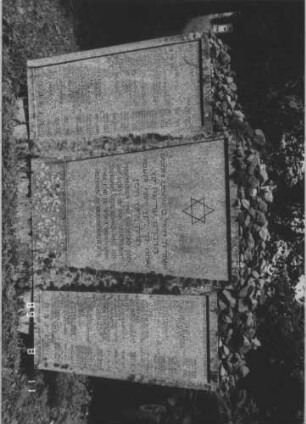 Grabstein 463 (Index: 99799419) Besonderheit: kulturhistorisch wertvoll / hist.-wiss. Gründe (Gedenkstein): Grabstein 463