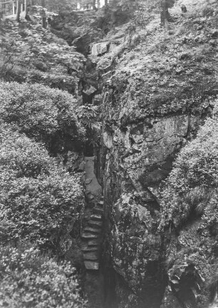 Klamm im Wald : Blick in eine Klamm im Wald mit Stufen