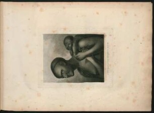 7. A Woman of Van Diemen's Land.