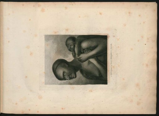 7. A Woman of Van Diemen's Land.