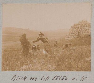 Blick von tell dotan [Dothan] n. W.