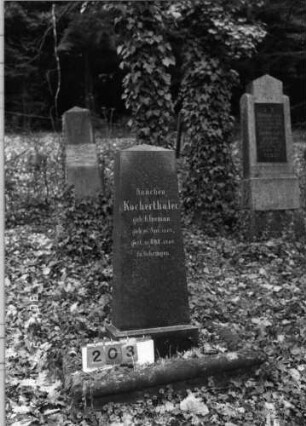 Grabstein 203