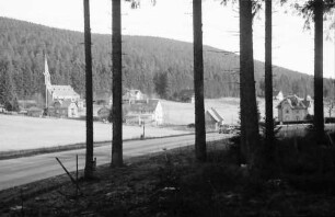 Herrenwies: Ort durch Wald gesehen
