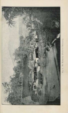 Fig. 5. Ein Kampong (Dorf) bei Buitenzorg