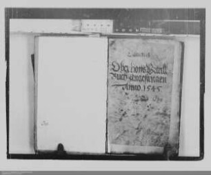 Protokollbuch des Oberhofgerichts zu Dillenburg