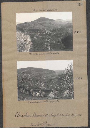 Schnierlach in der Frühlingsblüte