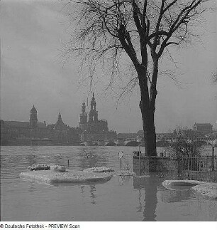 Dresden. Blick von der Wiesentorstraße über die Elbe gegen Terrassenufer während des Frühjahrhochwassers