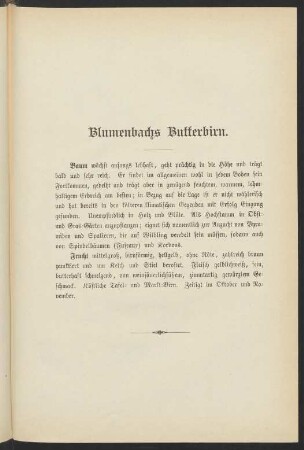 Blumenbachs Butterbirn.