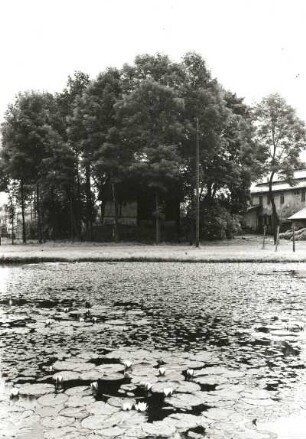 Pulsnitz-Vollung, Kr. Bischofswerda. Weitzmannsches Gut (1854). Perfert von Westen über Seerosenteich