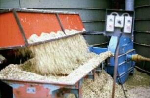 Fotografie: Ein- und Auslagerungstechnik, Maissilage, Wurfgebläse, Hochsilo