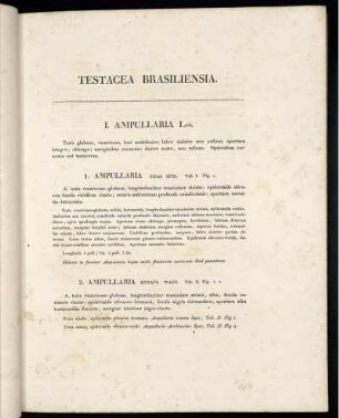 Testacea Brasilensia.