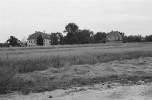 Weizenfeld : Blick über ein Weizenfeld in Richtung großer Häuser