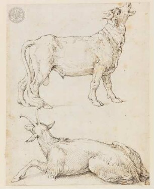 Ein Ziegenbock und ein Stier