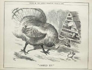 "Cooped up!"