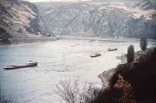 Rhein bei Oberwesel