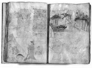 Illustration und Textseite aus "Deutsche Historienbibel", Seite 26r. Malerei, Pergament, Hagenau, nach 1450. Dresden, SLUB A.49