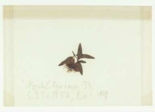 [Beil. 19]