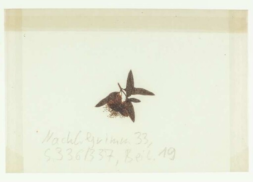 [Beil. 19]
