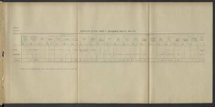 Belastung durch die Unfälle innerhalb der Zweiganstalt während des Jahres 1919.
