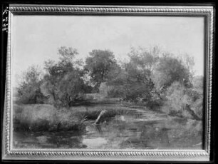 Teichlandschaft