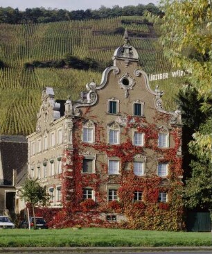 Weingut Mönchhof