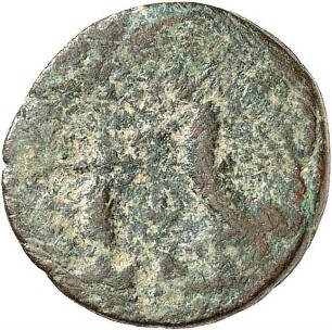 Palmyra