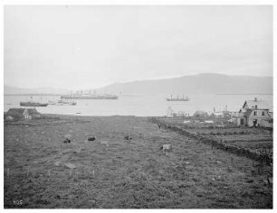 Thorshavn/Färöer Inseln (Dänemark). Stadtteilansicht. Blick zum Hafen mit Hochseepassagierdampfer "Victoria Luise"