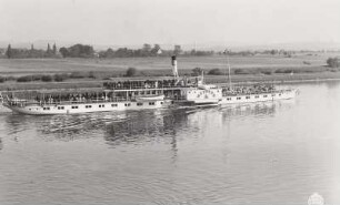 Personen-Seitenraddampfer "Meißen" (V, 1885; Werft Blasewitz). Aufnahme auf Fahrt elbabwärts bei Birkwitz-Pratzschwitz
