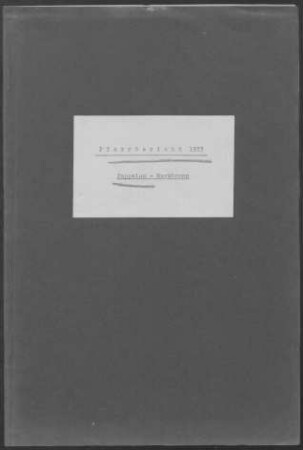 Pappelau-Markbronn mit Beiningen und Ringingen: Pfarrbericht 1933