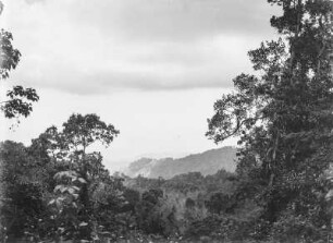 Vegetationsansicht : Vegetationslandschaft eines Gebirges