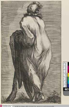 [Jacobus minor; Saint James the Lesser (or Saint Jude)]