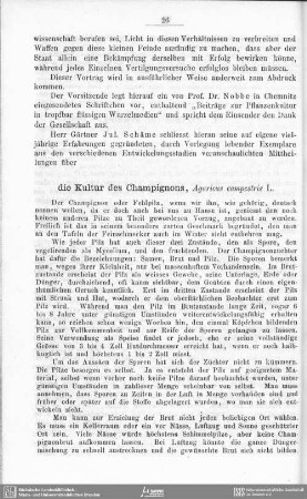 Die Kultur des Champignons, Agarnicus campestris L.