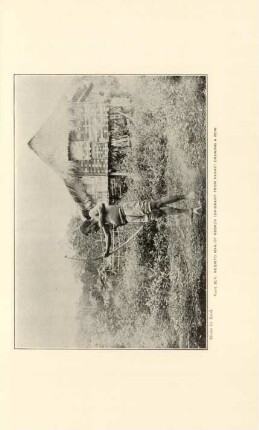 Plate XLV. Negrito man of Negros (Emigrant from Panay) drawing a bow