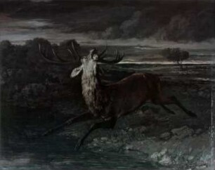 Der Hirsch am Wasser