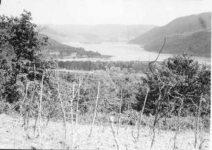 Orsova [Banat]: Donau, Hintergrund Sträucher