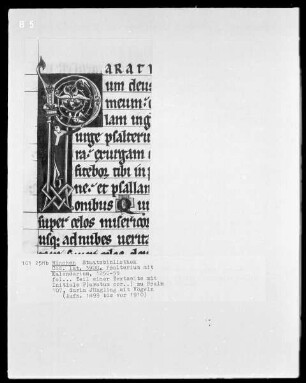Psalterium mit Kalendarium — Initiale P (aratum cor) mit Jüngling