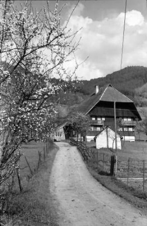 Gutach: Schwarzwaldhaus an der Schwarzwaldbahn bei Gutach